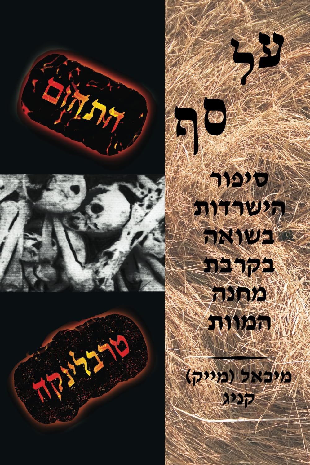 על סף התהום